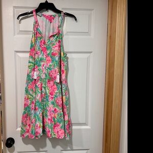 EUC Lilly Pulitzer, Carolane Dress Size Medium